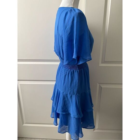 Taylor Chiffon Ruffle Dress - Picture 4 of 5